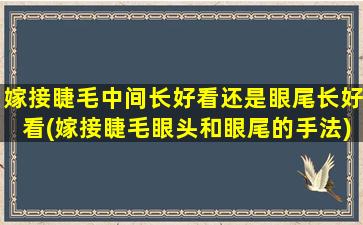 嫁接睫毛中间长好看还是眼尾长好看(嫁接睫毛眼头和眼尾的手法)