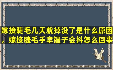 嫁接睫毛几天就掉没了是什么原因，嫁接睫毛手拿镊子会抖怎么回事