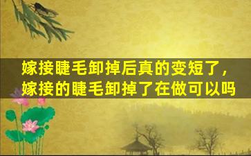 嫁接睫毛卸掉后真的变短了，嫁接的睫毛卸掉了在做可以吗