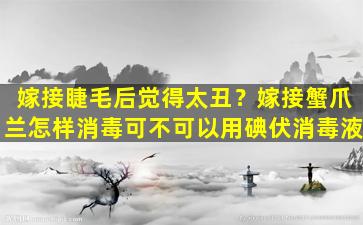 嫁接睫毛后觉得太丑？嫁接蟹爪兰怎样消毒可不可以用碘伏消毒液