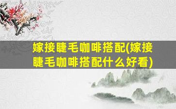 嫁接睫毛咖啡搭配(嫁接睫毛咖啡搭配什么好看)