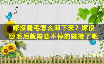 嫁接睫毛怎么卸下来？嫁接睫毛后就需要不停的嫁接了吧