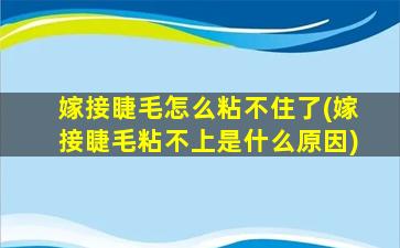 嫁接睫毛怎么粘不住了(嫁接睫毛粘不上是什么原因)