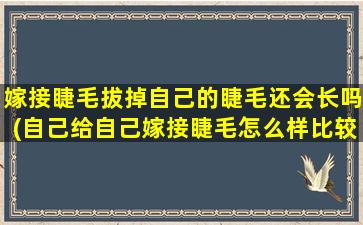 嫁接睫毛拔掉自己的睫毛还会长吗(自己给自己嫁接睫毛怎么样比较好不容易掉)