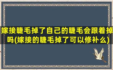 嫁接睫毛掉了自己的睫毛会跟着掉吗(嫁接的睫毛掉了可以修补么)