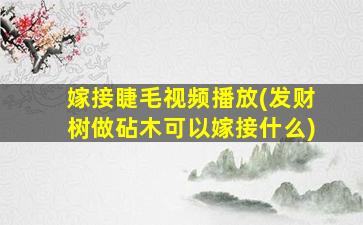 嫁接睫毛视频播放(发财树做砧木可以嫁接什么)