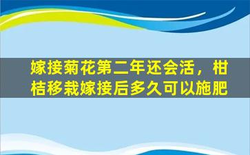 嫁接菊花第二年还会活，柑桔移栽嫁接后多久可以施肥