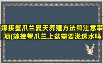 嫁接蟹爪兰夏天养殖方法和注意事项(嫁接蟹爪兰上盆需要浇透水吗)