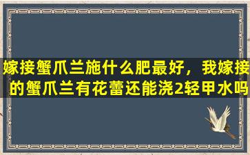 嫁接蟹爪兰施什么肥最好，我嫁接的蟹爪兰有花蕾还能浇2轻甲水吗