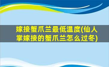 嫁接蟹爪兰最低温度(仙人掌嫁接的蟹爪兰怎么过冬)