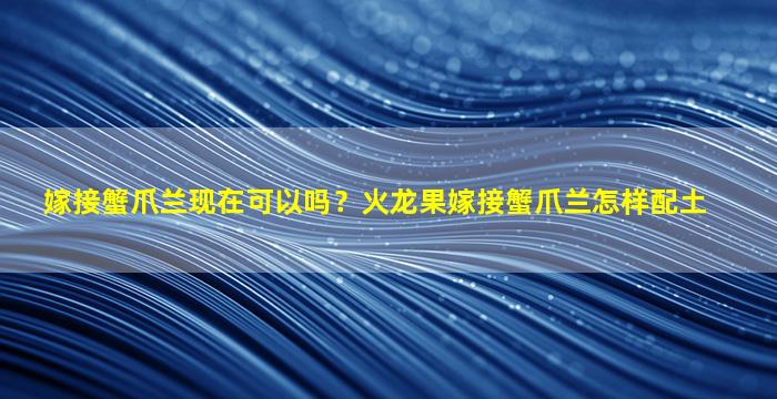 嫁接蟹爪兰现在可以吗？火龙果嫁接蟹爪兰怎样配土