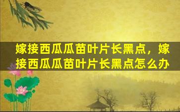 嫁接西瓜瓜苗叶片长黑点，嫁接西瓜瓜苗叶片长黑点怎么办