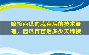 嫁接西瓜的栽苗后的技术管理，西瓜育苗后多少天嫁接