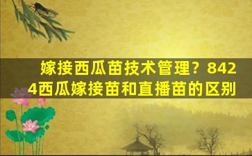 嫁接西瓜苗技术管理？8424西瓜嫁接苗和直播苗的区别