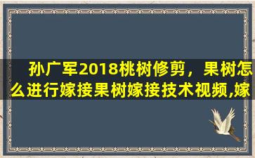 孙广军2018桃树修剪，果树怎么进行嫁接果树嫁接技术视频,嫁接方法图解