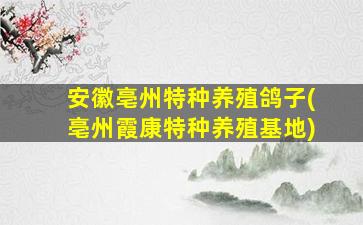 安徽亳州特种养殖鸽子(亳州霞康特种养殖基地)