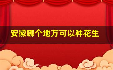 安徽哪个地方可以种花生