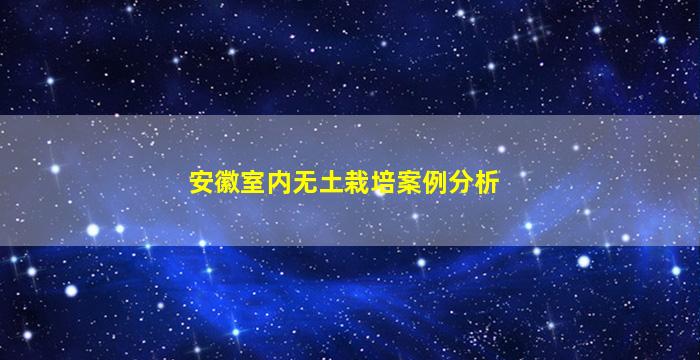 安徽室内无土栽培案例分析