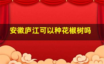 安徽庐江可以种花椒树吗