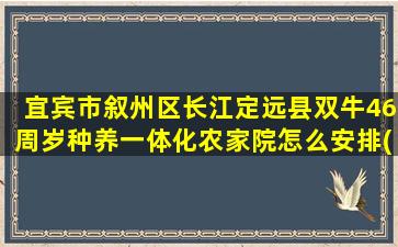 宜宾市叙州区长江定远县双牛46周岁种养一体化农家院怎么安排(宜宾市叙州区长江大道派出所)