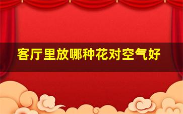 客厅里放哪种花对空气好