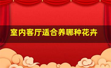 室内客厅适合养哪种花卉