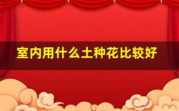 室内用什么土种花比较好