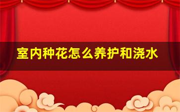 室内种花怎么养护和浇水