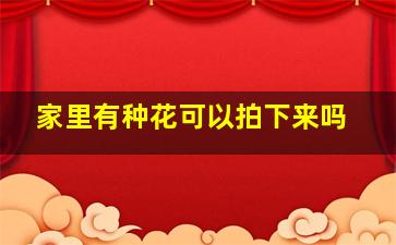 家里有种花可以拍下来吗