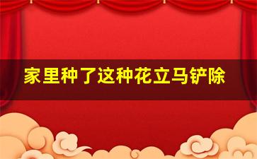 家里种了这种花立马铲除