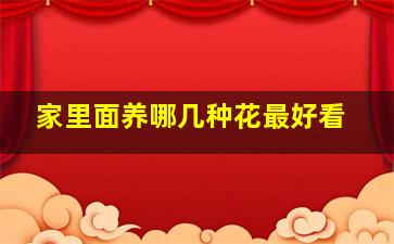 家里面养哪几种花最好看