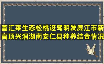 富汇莱生态松桃迓驾明发廉江市新高顶兴洞湖南安仁县种养结合情况