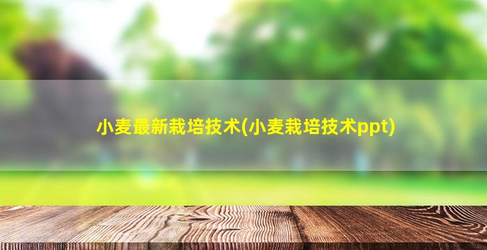 小麦最新栽培技术(小麦栽培技术ppt)