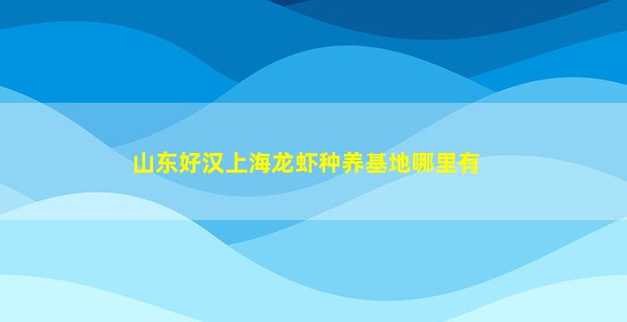 山东好汉上海龙虾种养基地哪里有