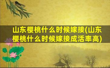 山东樱桃什么时候嫁接(山东樱桃什么时候嫁接成活率高)