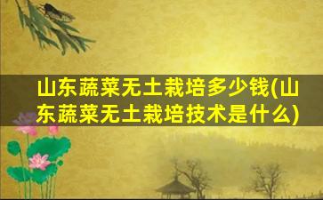 山东蔬菜无土栽培多少钱(山东蔬菜无土栽培技术是什么)