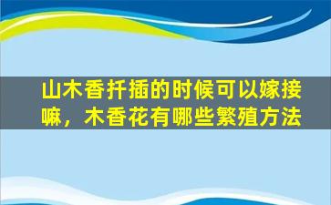 山木香扦插的时候可以嫁接嘛，木香花有哪些繁殖方法