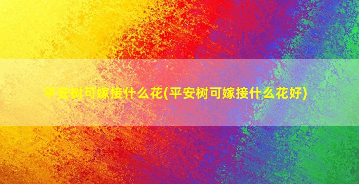 平安树可嫁接什么花(平安树可嫁接什么花好)