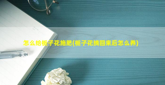 怎么给栀子花施肥(栀子花摘回来后怎么养)