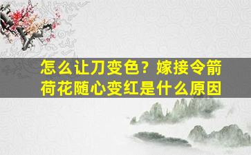 怎么让刀变色？嫁接令箭荷花随心变红是什么原因