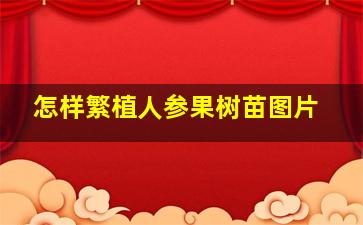 怎样繁植人参果树苗图片