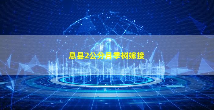 息县2公分月季树嫁接