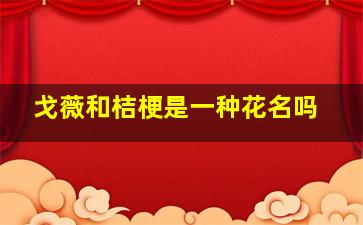 戈薇和桔梗是一种花名吗