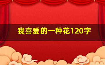 我喜爱的一种花120字