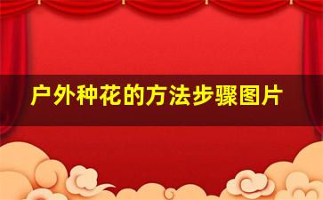 户外种花的方法步骤图片