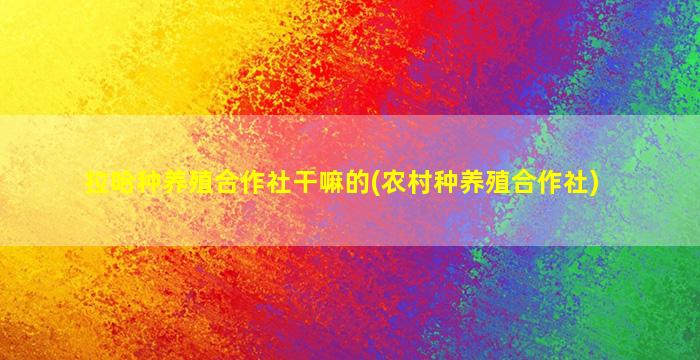 拉哈种养殖合作社干嘛的(农村种养殖合作社)