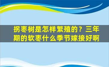 拐枣树是怎样繁殖的？三年期的软枣什么季节嫁接好啊