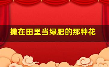 撒在田里当绿肥的那种花