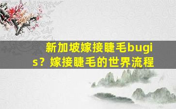 新加坡嫁接睫毛bugis？嫁接睫毛的世界流程