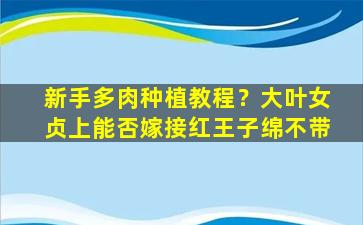 新手多肉种植教程？大叶女贞上能否嫁接红王子绵不带